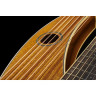 Timberline Guitars T60HGpc Арфа-гитара Timberline Guitars T60HGpc Harp Guitar