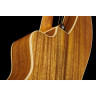 Timberline Guitars T60HGpc Арфа-гитара Timberline Guitars T60HGpc Harp Guitar