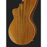 Timberline Guitars T60HGpc Арфа-гитара Timberline Guitars T60HGpc Harp Guitar