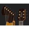 Timberline Guitars T60HGpc Арфа-гитара Timberline Guitars T60HGpc Harp Guitar