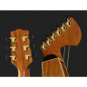 Timberline Guitars T60HGpc Арфа-гитара Timberline Guitars T60HGpc Harp Guitar
