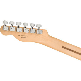 Игрок Fender Telecaster HH PF SFG Fender Player Telecaster HH PF SFG