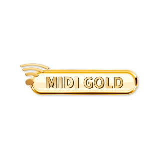 STmusic MIDI-гармоника Gold STmusic MIDI Harmonica Gold