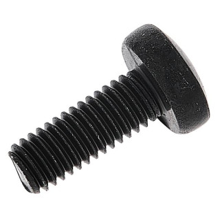 Винт для крепления стойки M6x16 250x Thon Rack Screw M6x16 250x