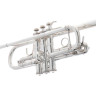 Бах С190SL229C  Труба в C Bach C190SL229C C-Trumpet