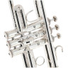 Бах С190SL229C  Труба в C Bach C190SL229C C-Trumpet