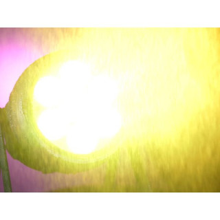 Eurolite AKKU IP PAR 7 QCL CRMX MK2 Eurolite AKKU IP PAR 7 QCL CRMX MK2