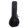 Банджо Gold Tone IT-19 Irish Tenor Banjo w/Bag