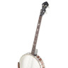 Банджо Gold Tone IT-19 Irish Tenor Banjo w/Bag