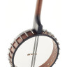 Банджо Gold Tone IT-19 Irish Tenor Banjo w/Bag