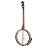 Банджо Gold Tone IT-19 Irish Tenor Banjo w/Bag