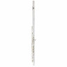 Флейта Jupiter JFL700REC-CBox Jupiter JFL700REC-CBox Flute