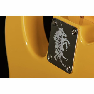 Электрогитара Fender Britt Daniel Tele Thin MN AMG Fender Britt Daniel Tele Thin MN AMG