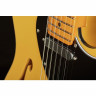 Электрогитара Fender Britt Daniel Tele Thin MN AMG Fender Britt Daniel Tele Thin MN AMG