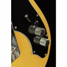 Электрогитара Fender Britt Daniel Tele Thin MN AMG Fender Britt Daniel Tele Thin MN AMG