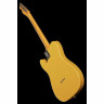 Электрогитара Fender Britt Daniel Tele Thin MN AMG Fender Britt Daniel Tele Thin MN AMG