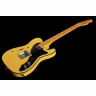 Электрогитара Fender Britt Daniel Tele Thin MN AMG Fender Britt Daniel Tele Thin MN AMG
