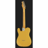 Электрогитара Fender Britt Daniel Tele Thin MN AMG Fender Britt Daniel Tele Thin MN AMG