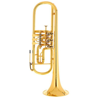 Труба Thomann Concerto MGP Rotary Trumpet Thomann Concerto MGP Rotary Trumpet