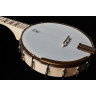 Банджо в стиле Диринг Гудтайм Деко Deering Goodtime Deco Banjo