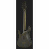 Schecter C-1 FR S SLS Evil Twin SBK Schecter C-1 FR S SLS Evil Twin SBK