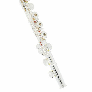 Флейта Thomann FL-1000 RI Thomann FL-1000 RI Flute