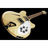 Риккенбакер 360/12 МГ Rickenbacker 360/12 MG