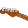 Игрок Fender LTD Strat 2TS Fender LTD Player Strat 2TS