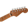 Игрок Fender LTD Strat 2TS Fender LTD Player Strat 2TS