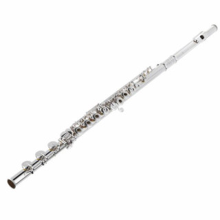 Флейта Muramatsu DS-RBEO Flute Muramatsu DS-RBEO Flute