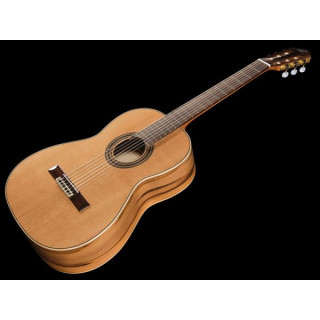 Ортега R20GSNRG Ortega R20GSNRG