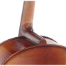 Виолончель Gewa Allegro VC1 A Cello 1/4 Gewa Allegro VC1 A Cello 1/4