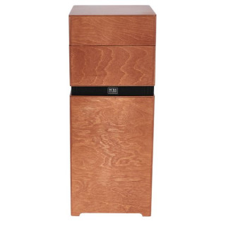 Комбоусилитель Acus AllAround 8 Wood