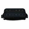 Звукосниматель Seymour Duncan Sentient 6 Humbucker Neck BLK Seymour Duncan Sentient 6 Humbucker Neck BLK