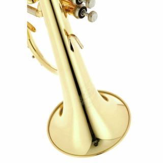 Флюгельгорн B&S 3145-L Challenger I