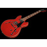 Harley Benton HB-35Plus вишневый Набор №393594 Harley Benton HB-35Plus Cherry Bundle №393594