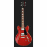 Harley Benton HB-35Plus вишневый Набор №393594 Harley Benton HB-35Plus Cherry Bundle №393594