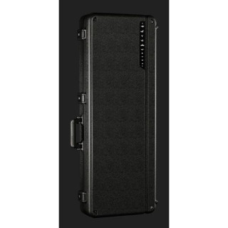 PRS McCarty 594 Аврора Бореалис PRS McCarty 594 Aurora Borealis