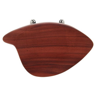 Слива Гева КР Моравец Германия Gewa CR Morawetz Plum Germany