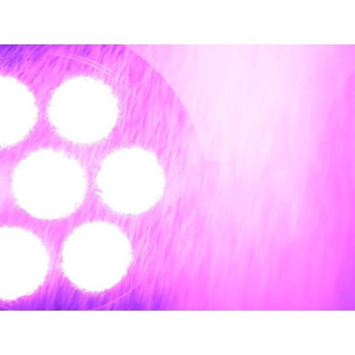 Eurolite LED IP PAR 7x8 Вт QCL Spot Eurolite LED IP PAR 7x8W QCL Spot