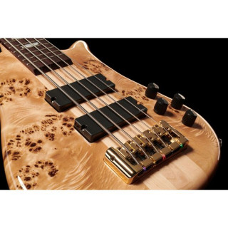 Бас-гитара Spector Euro LX 5 PBG