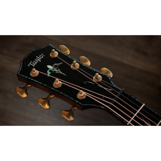 Тейлор PS14ce Ф Figured Urban Ironback Taylor PS14ce Figured Urban Ironback