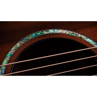 Тейлор PS14ce Ф Figured Urban Ironback Taylor PS14ce Figured Urban Ironback