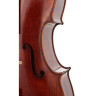 Gewa Maestro 31 Старинная виолончель 4/4 Gewa Maestro 31 Antique Cello 4/4