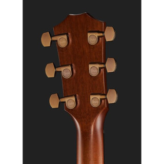 Taylor C24ce Grand Auditorium Custom Taylor C24ce Grand Auditorium Custom