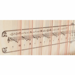 С. Роберт Хопф Аккордзитер 100/6 Ольха C. Robert Hopf Akkordzither 100/6 Alder