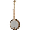 Банджо Deering Goodtime Two Deco Banjo