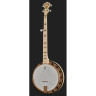 Диринг Гудтайм Два банджо в стиле деко Deering Goodtime Two Deco Banjo