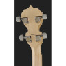 Диринг Гудтайм Два банджо в стиле деко Deering Goodtime Two Deco Banjo