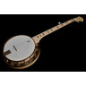 Диринг Гудтайм Два банджо в стиле деко Deering Goodtime Two Deco Banjo
